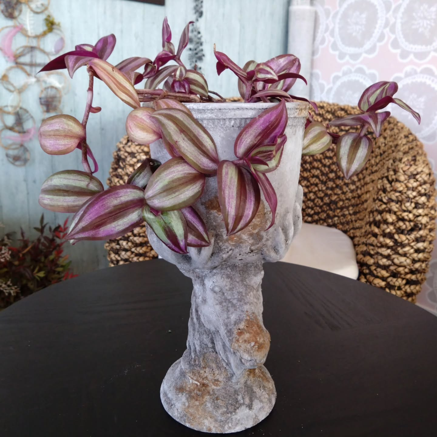 アニマルシリーズNew💕