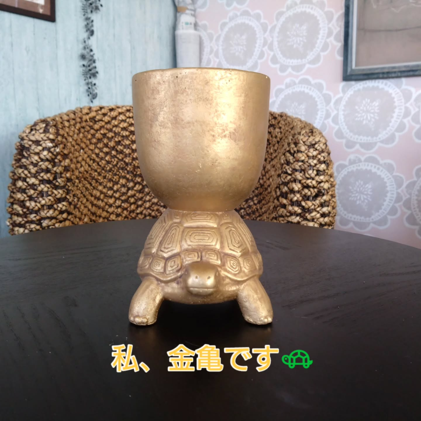 アニマルシリーズNew💕