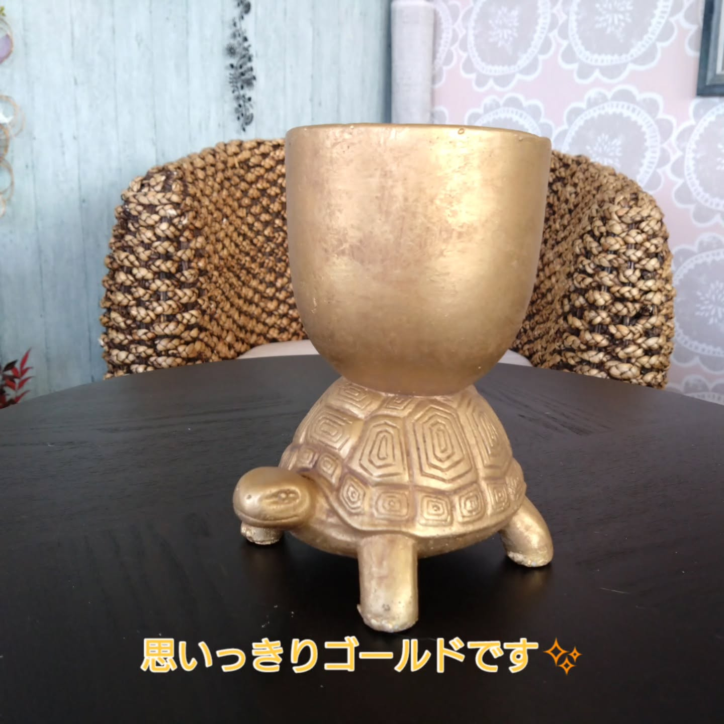 アニマルシリーズNew💕