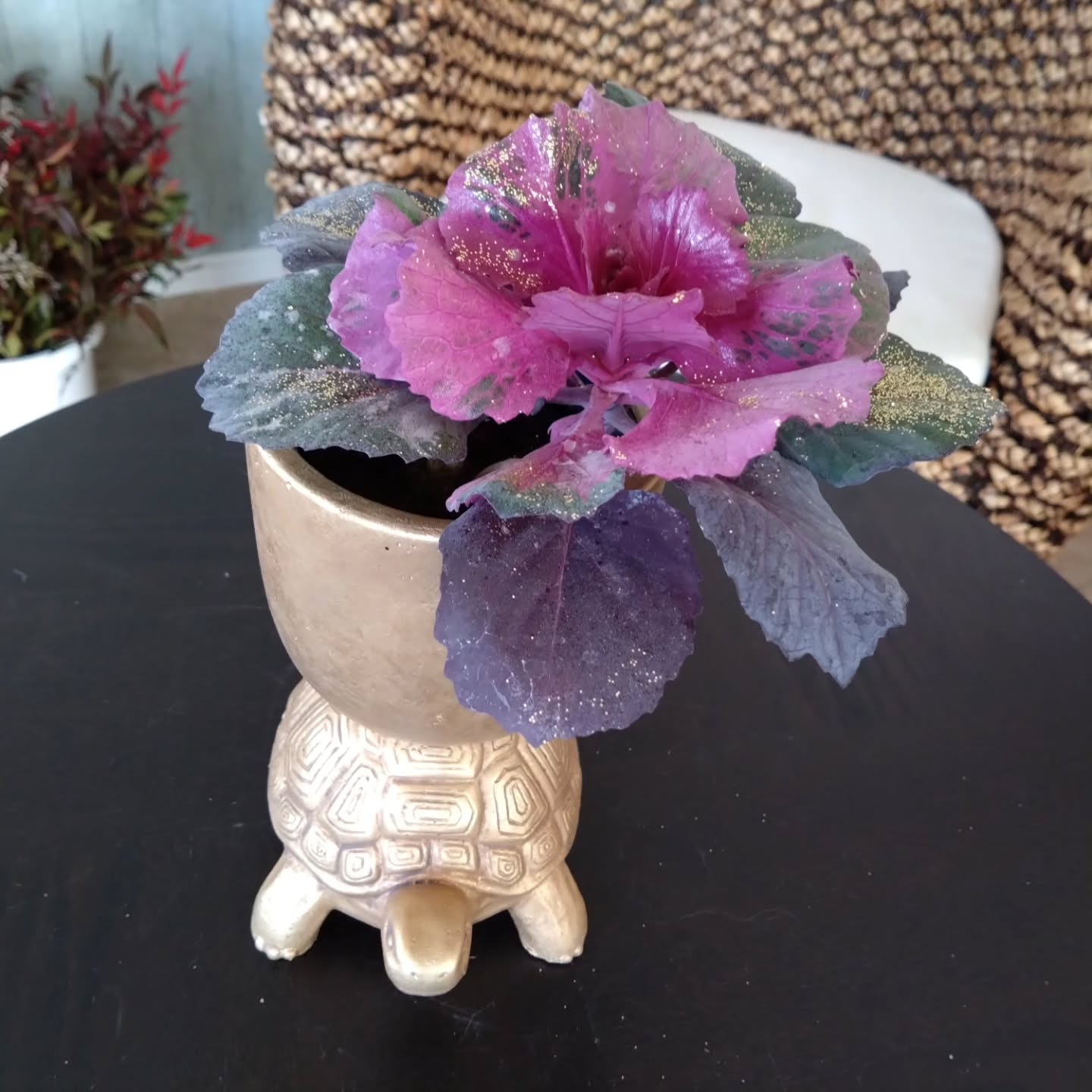 アニマルシリーズNew💕