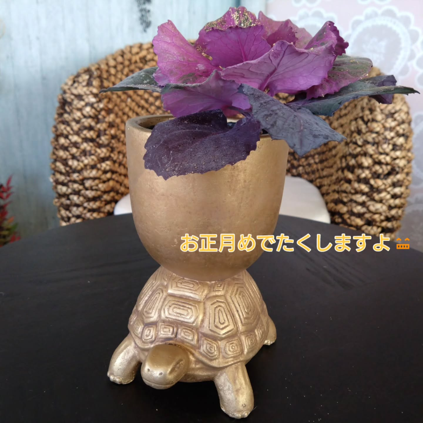 アニマルシリーズNew💕