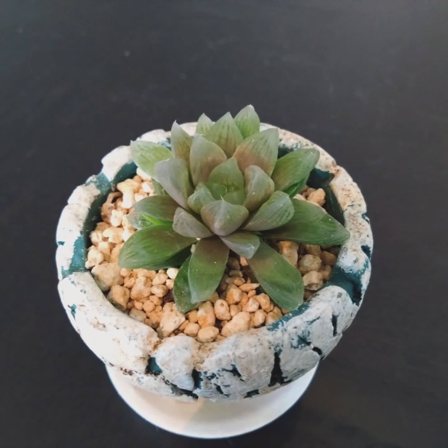 2025年 今年も残り数時間