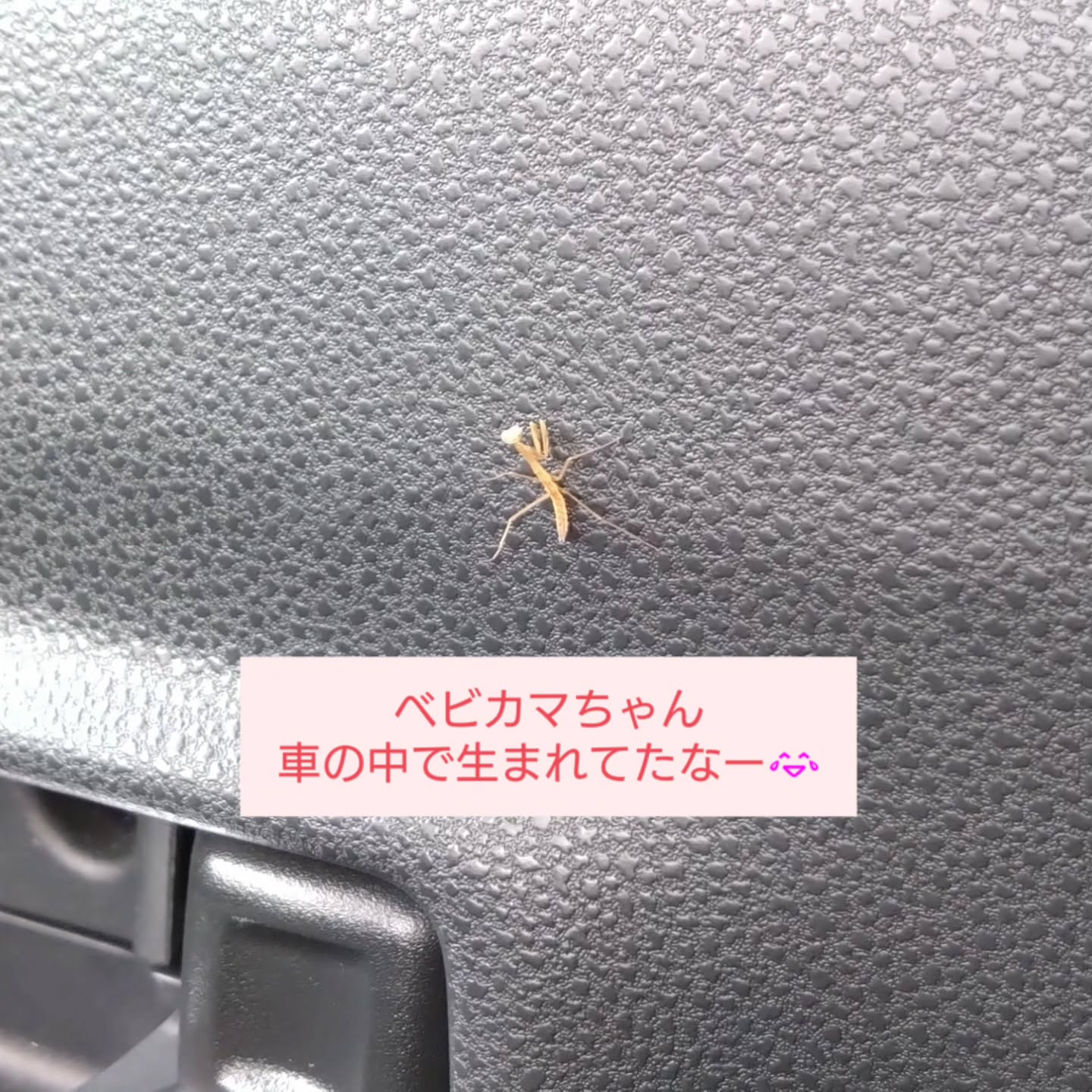 2025年 今年も残り数時間