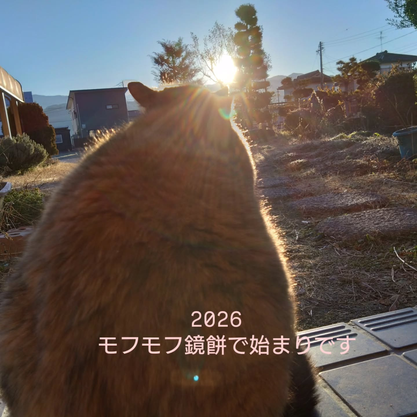 明けましておめでとうございます🎍