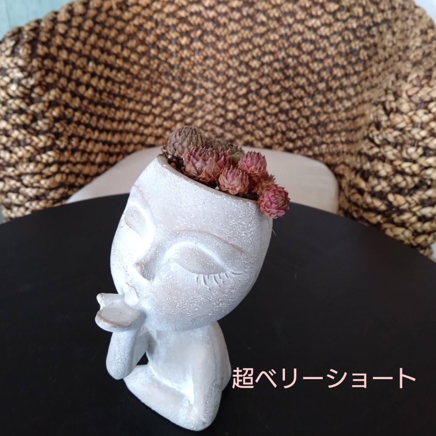 New! 早速 可愛いポットのご紹介💗