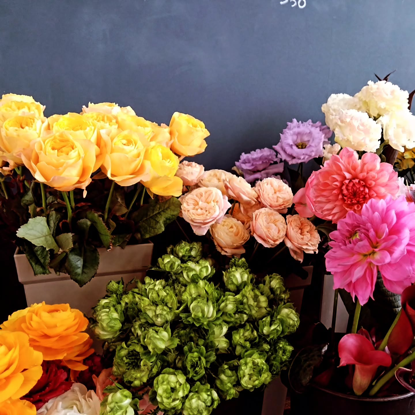 本日より通常営業しています😊