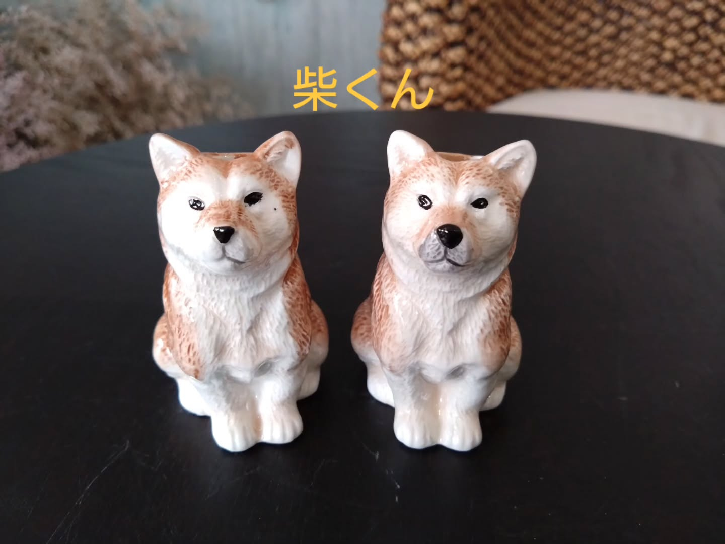 新しいアニマスベース