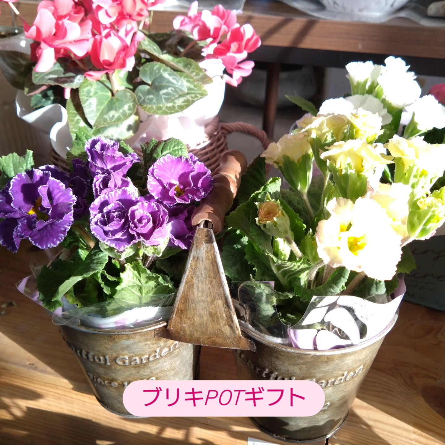 ちょっと早めに春色入りました🌼