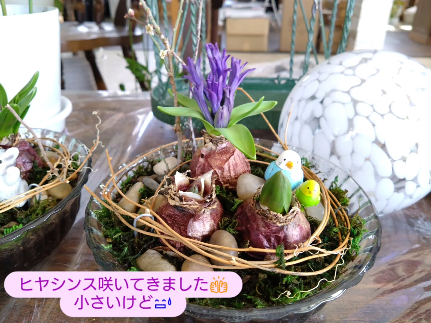 春の贈りものに