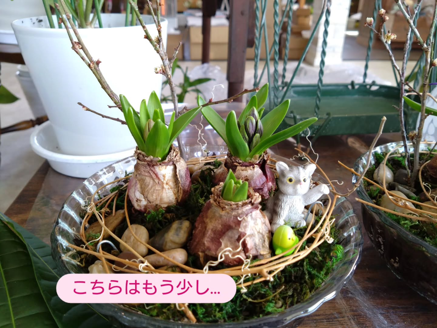 春の贈りものに