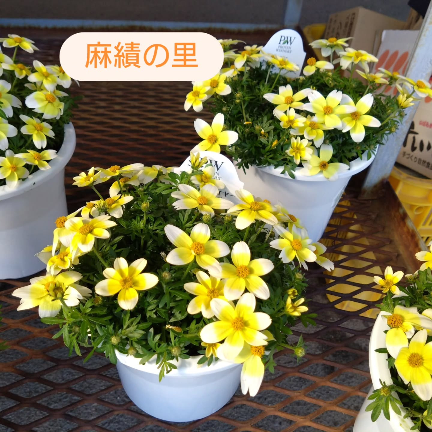 麻績の里さんに納品してきました😃