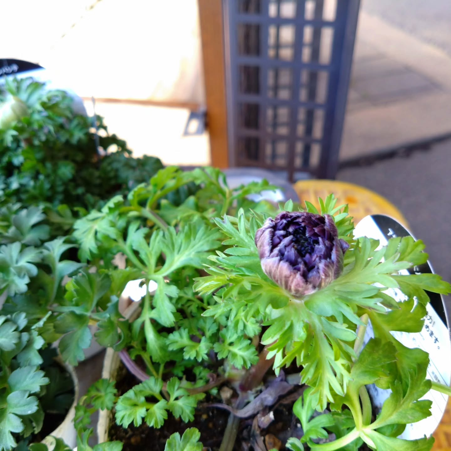 麻績の里さんに納品してきました😃