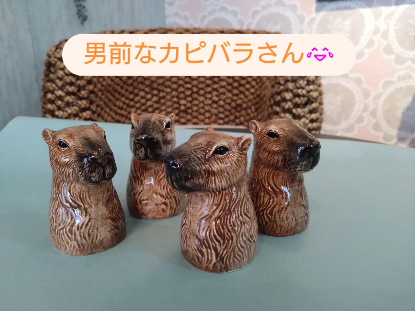 新しい仲間達です😊