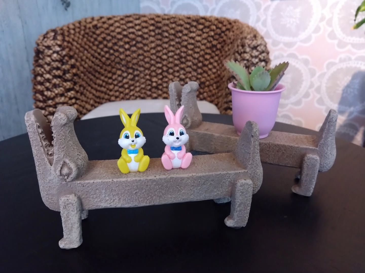 新しい仲間達です😊