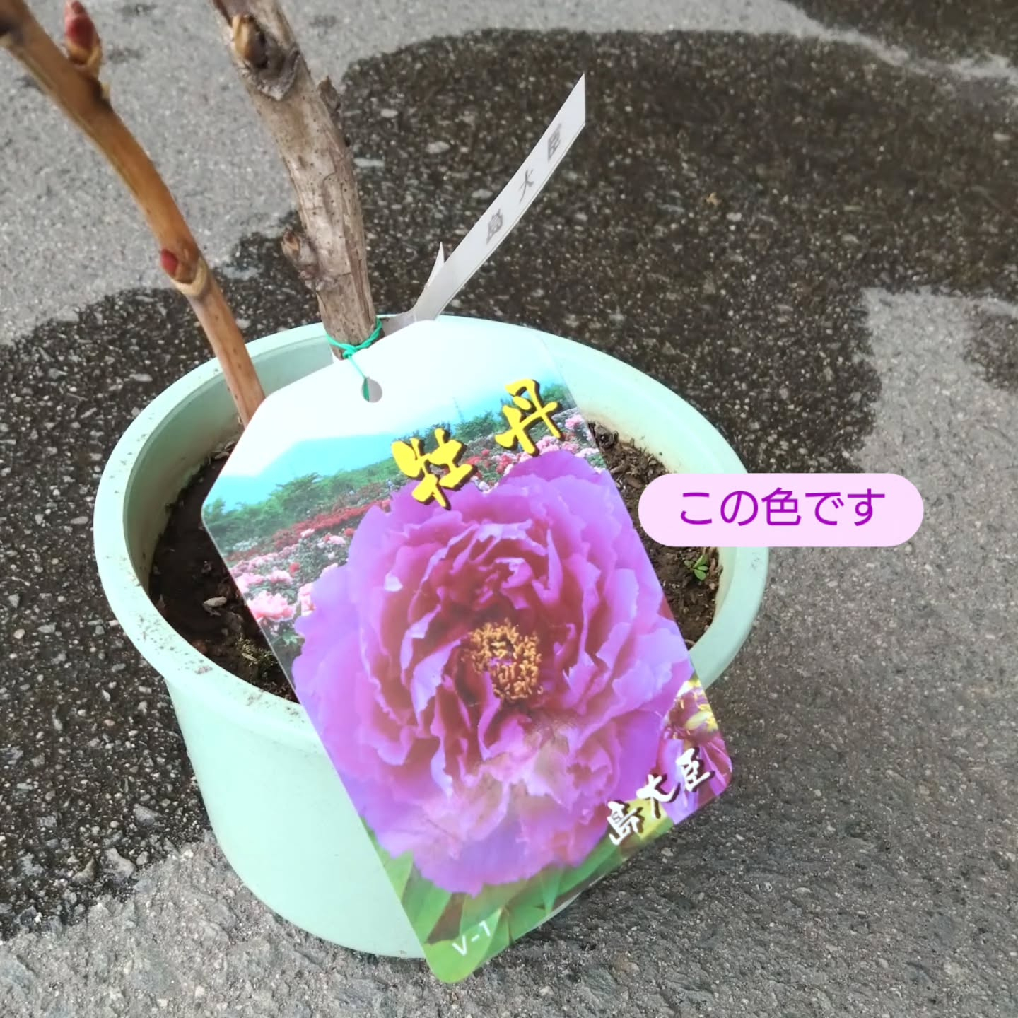 麻績の里さんへも🏵️