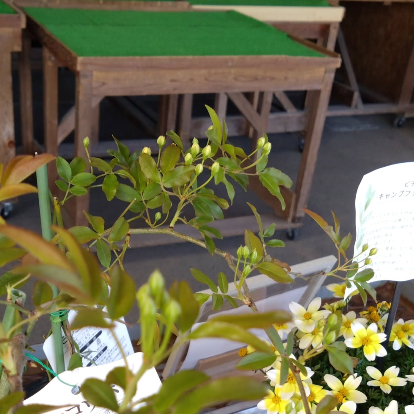 麻績の里さんに納品してきました😃