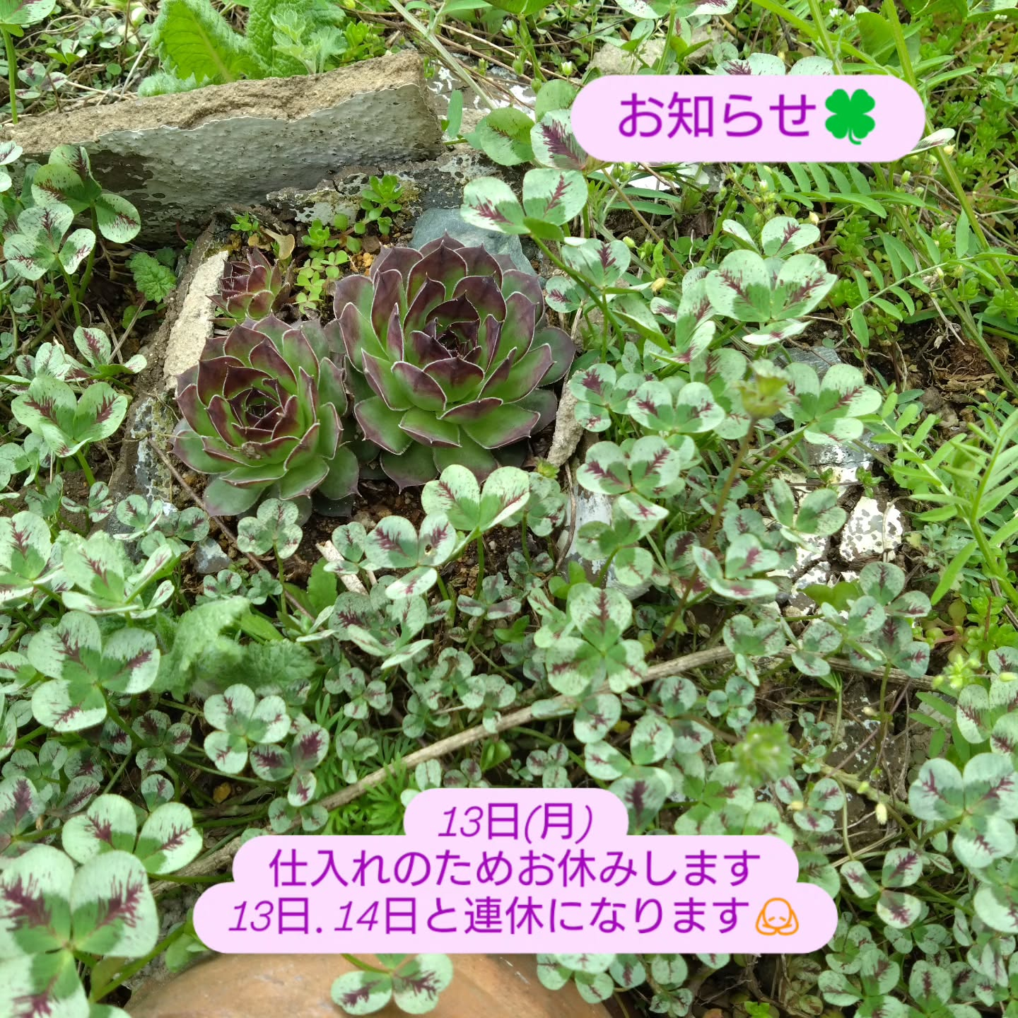お休みのお知らせ🍀