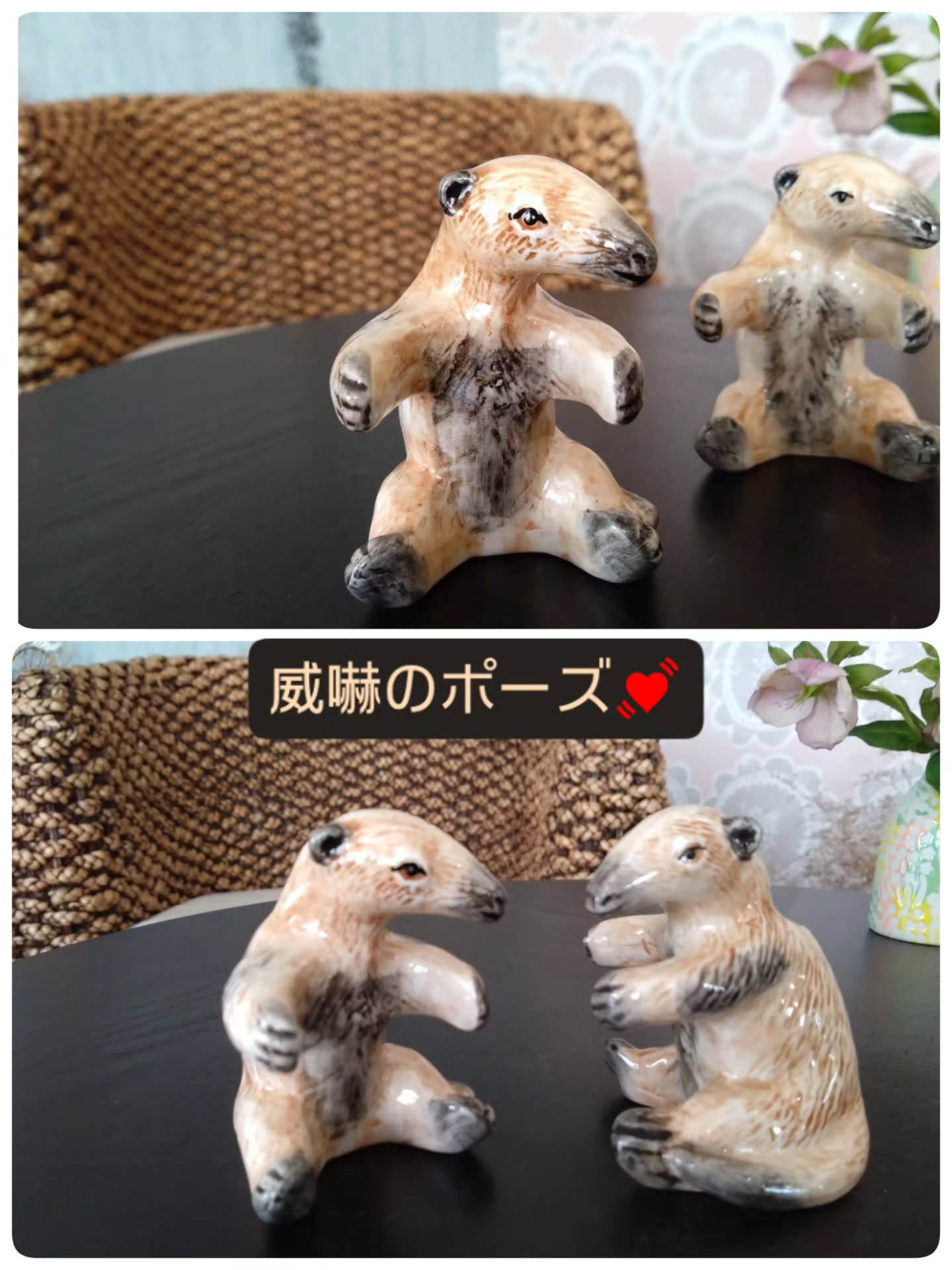 アニマル雑貨の新しい仲間です😀