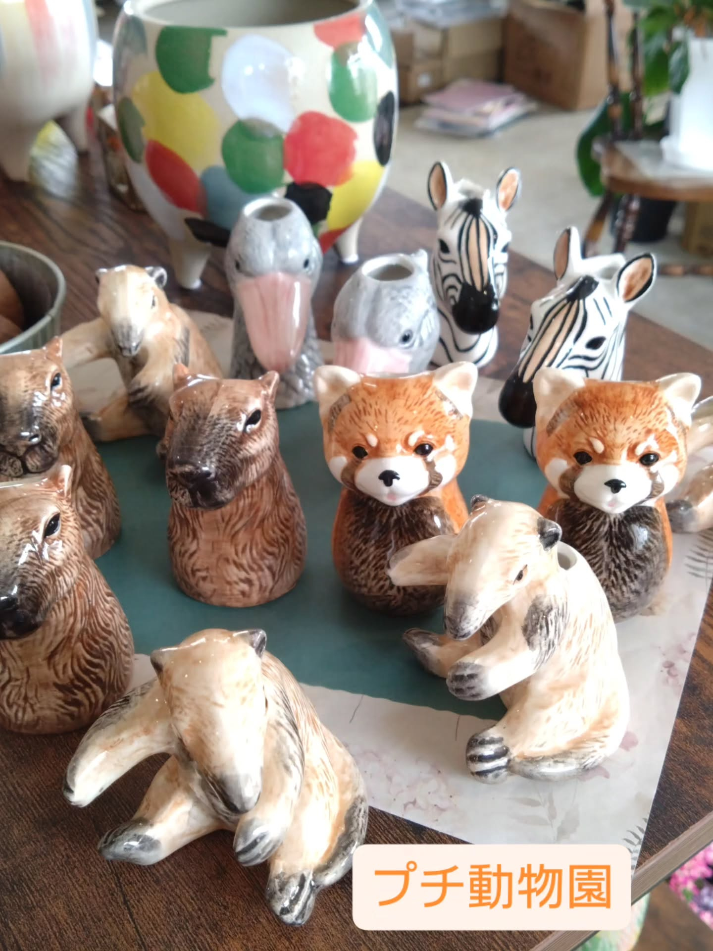 アニマル雑貨の新しい仲間です😀
