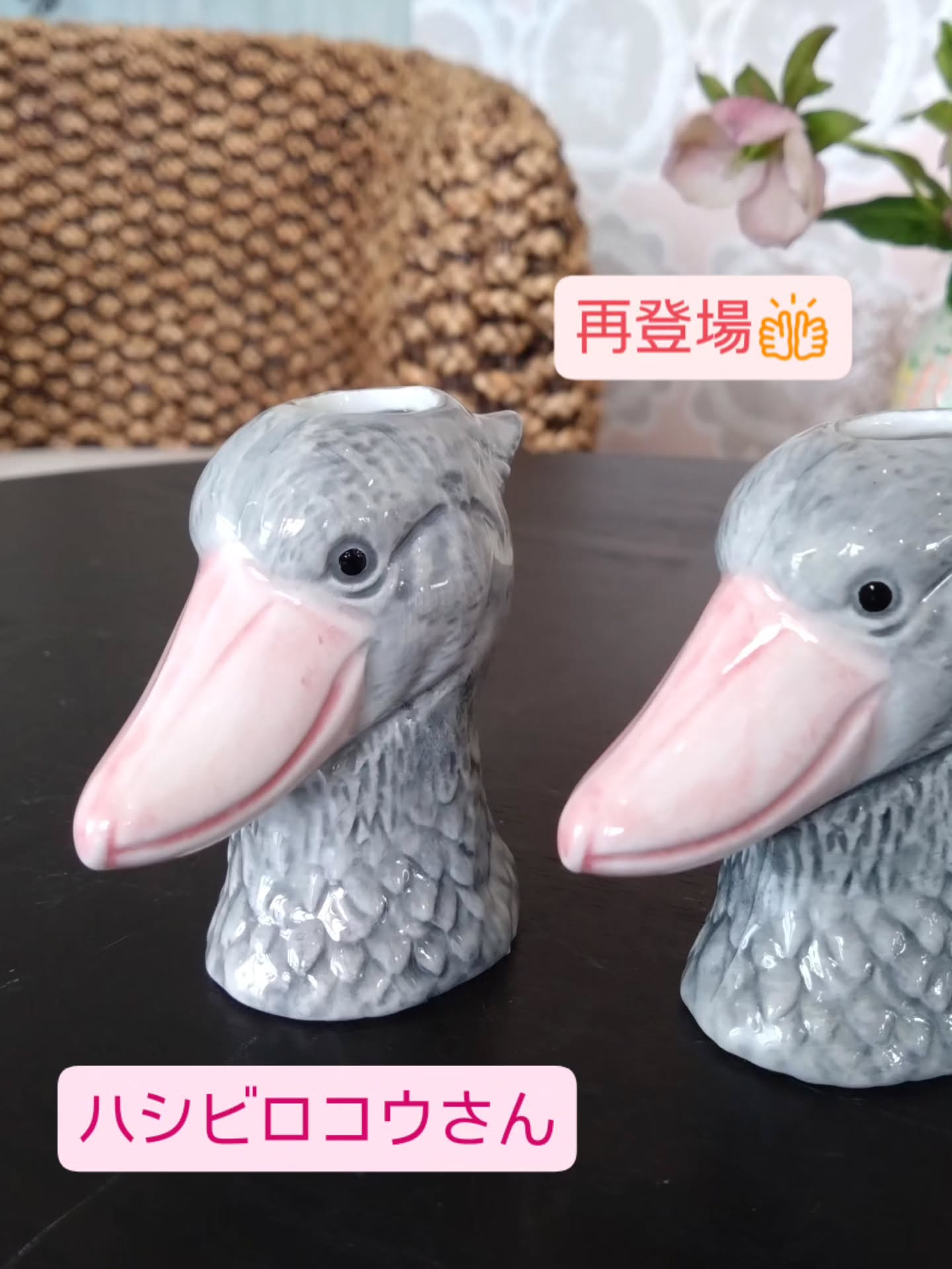 アニマル雑貨の新しい仲間です😀