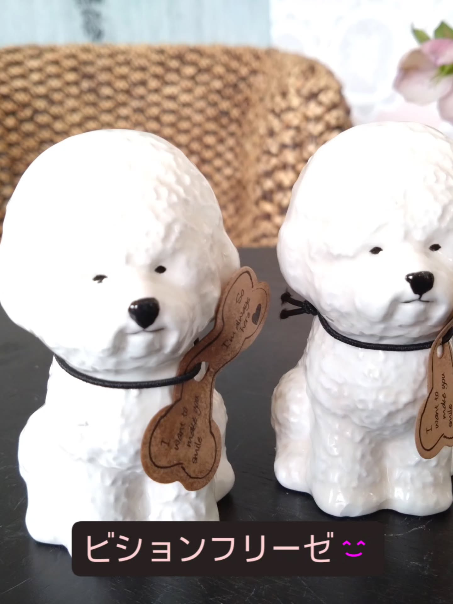 アニマル雑貨の新しい仲間です😀