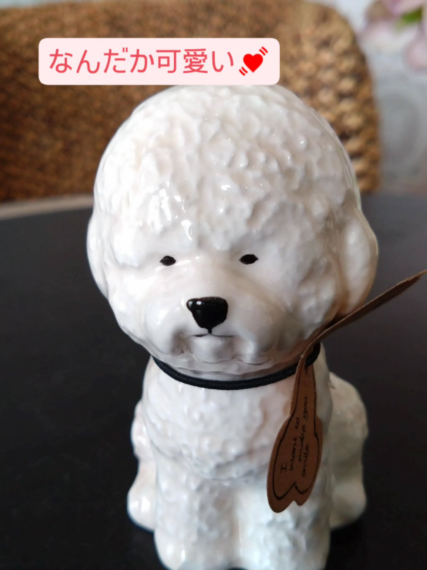 アニマル雑貨の新しい仲間です😀