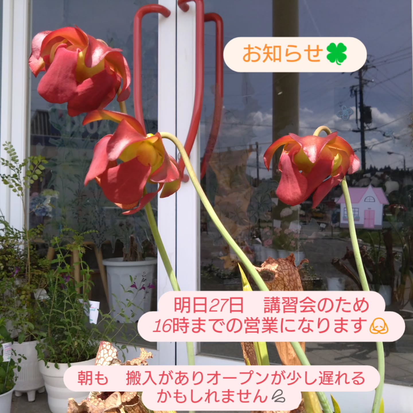 営業時間のお知らせ🍀