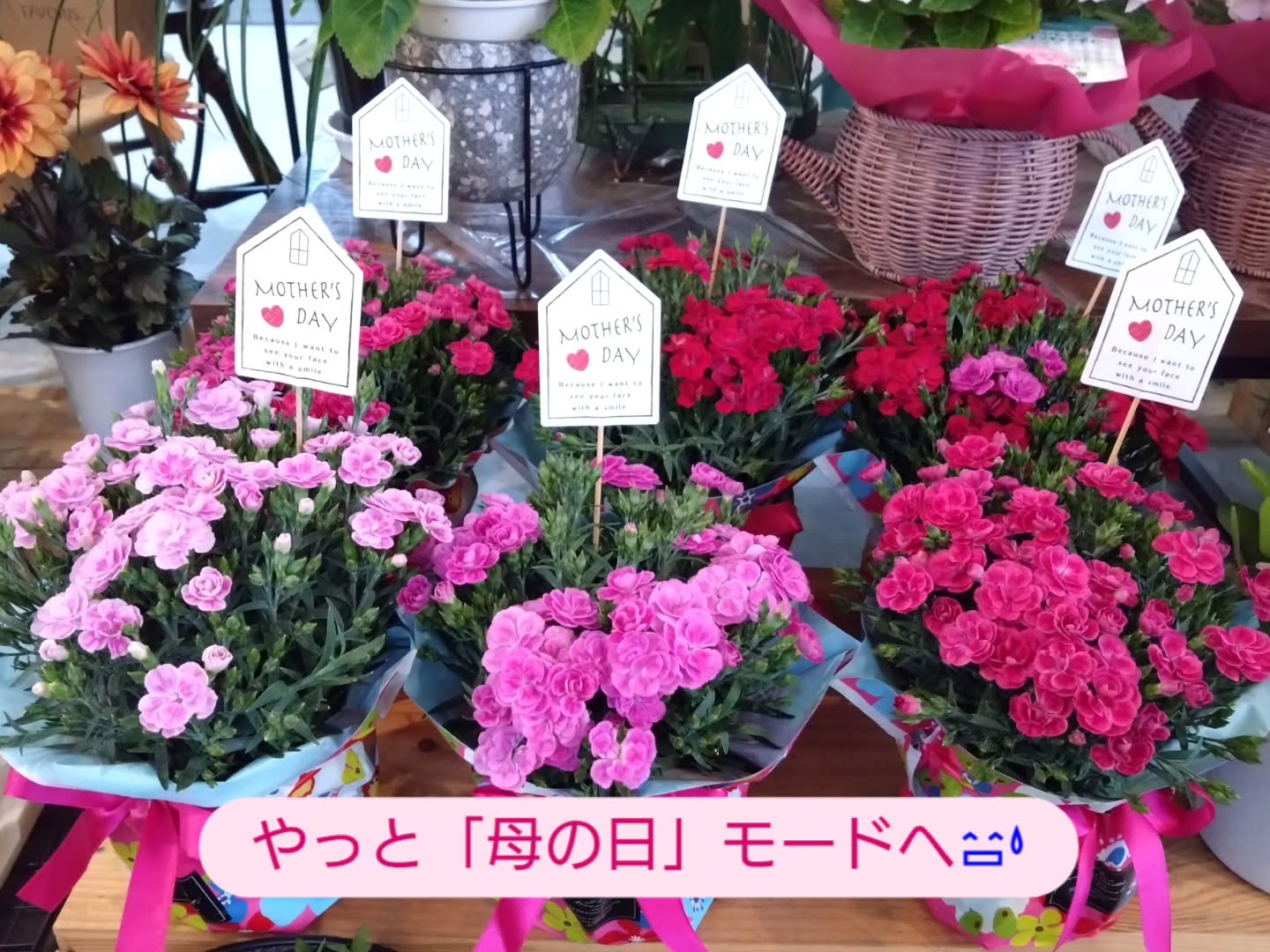 今年の「母の日」は5月10日💐
