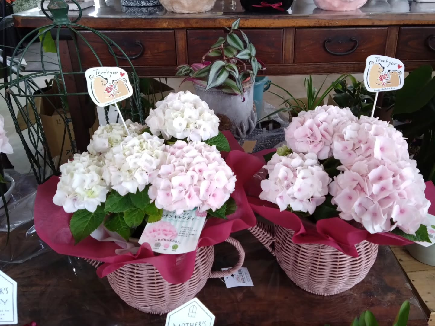 今年の「母の日」は5月10日💐