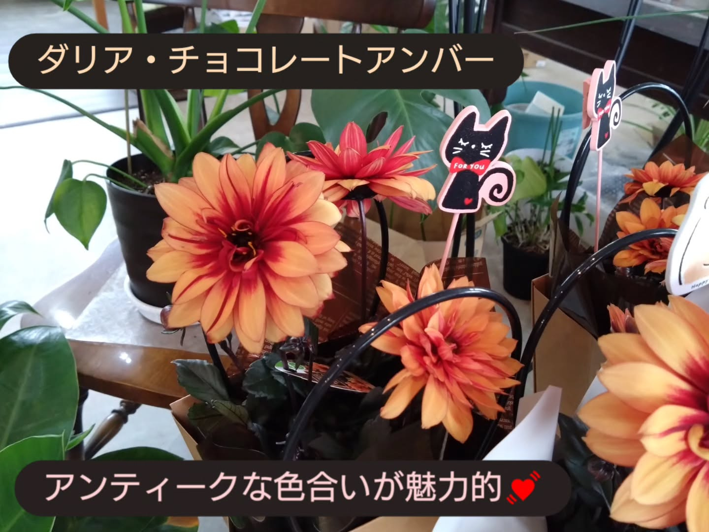 今年の「母の日」は5月10日💐