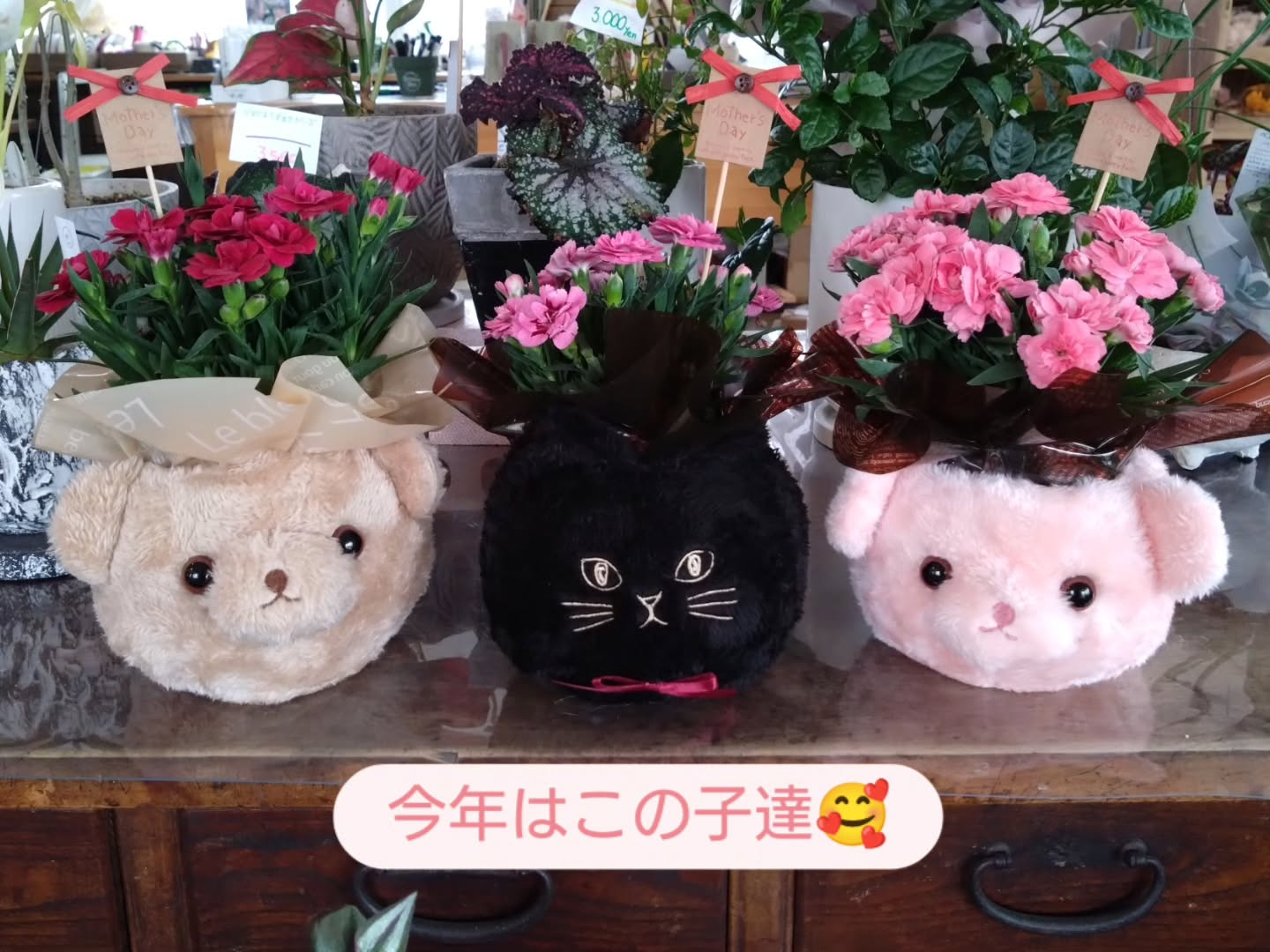 今年の「母の日」は5月10日💐