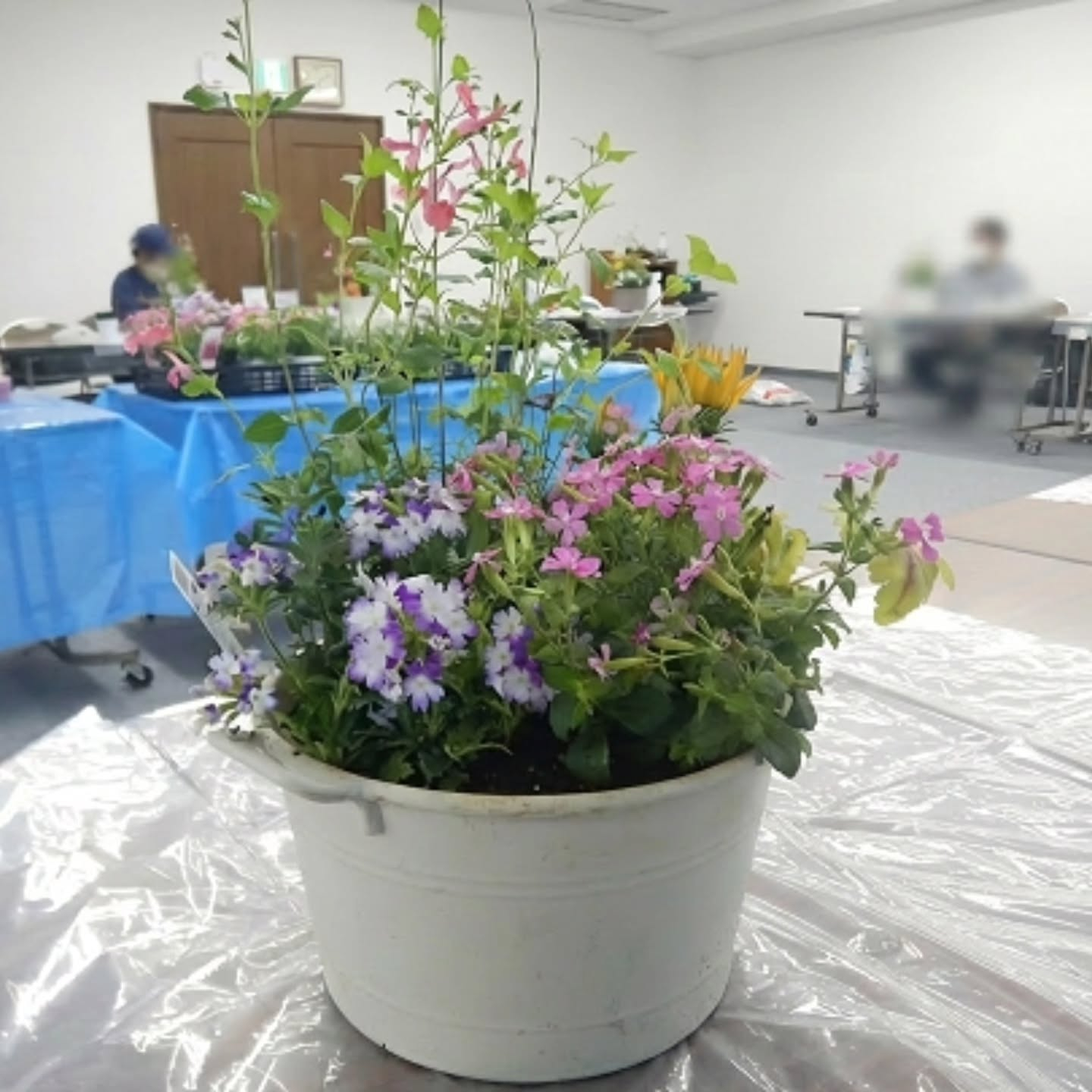 寄せ植え講習会