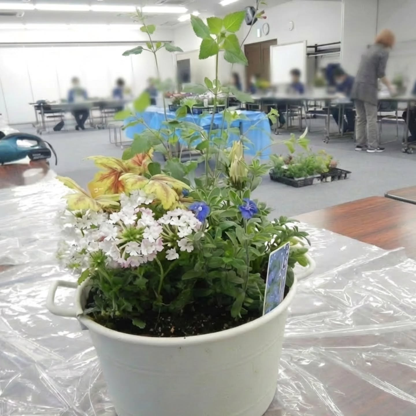寄せ植え講習会
