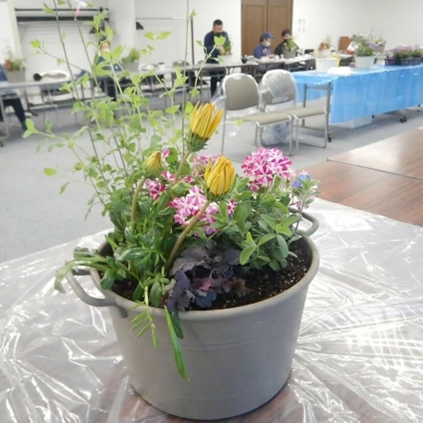 寄せ植え講習会