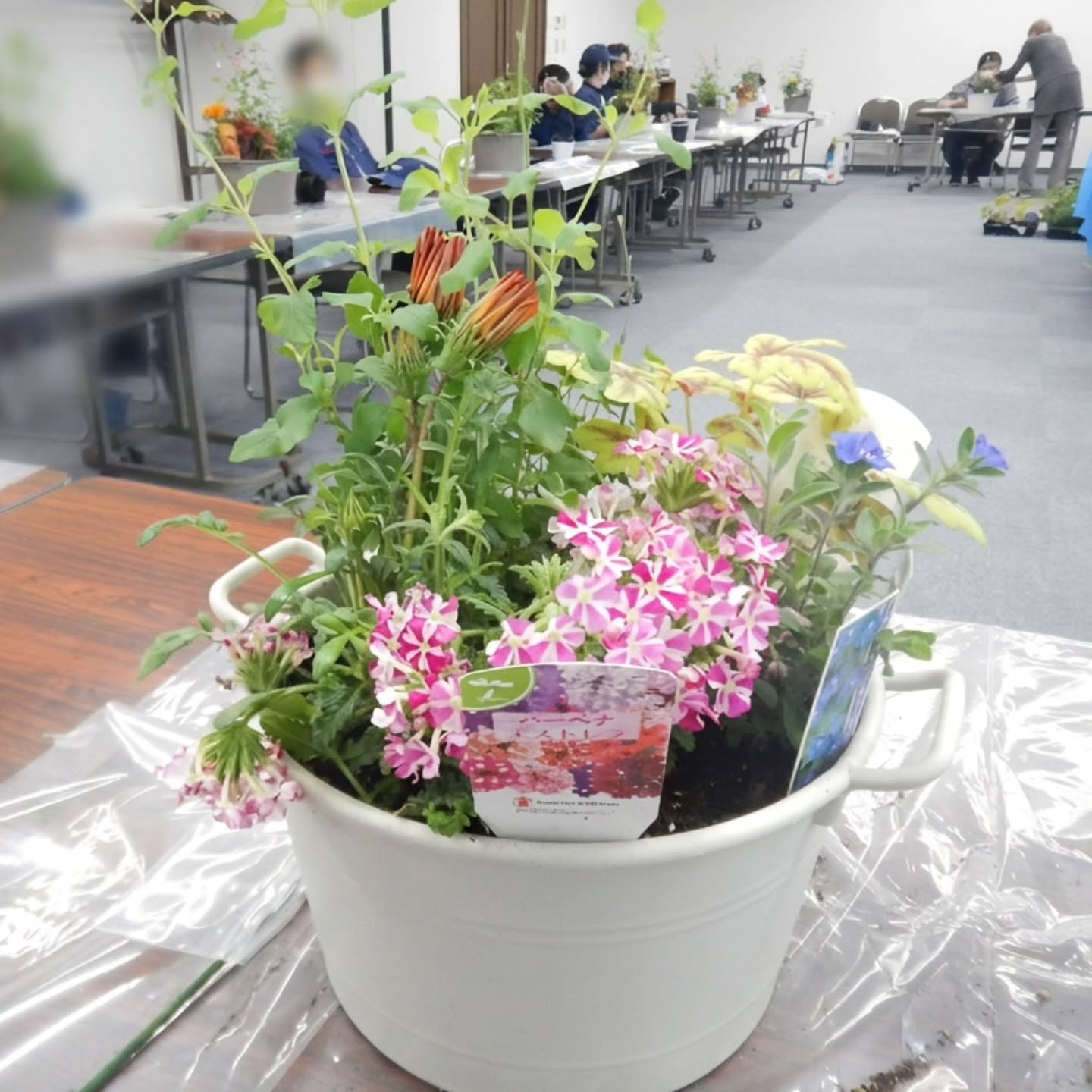 寄せ植え講習会