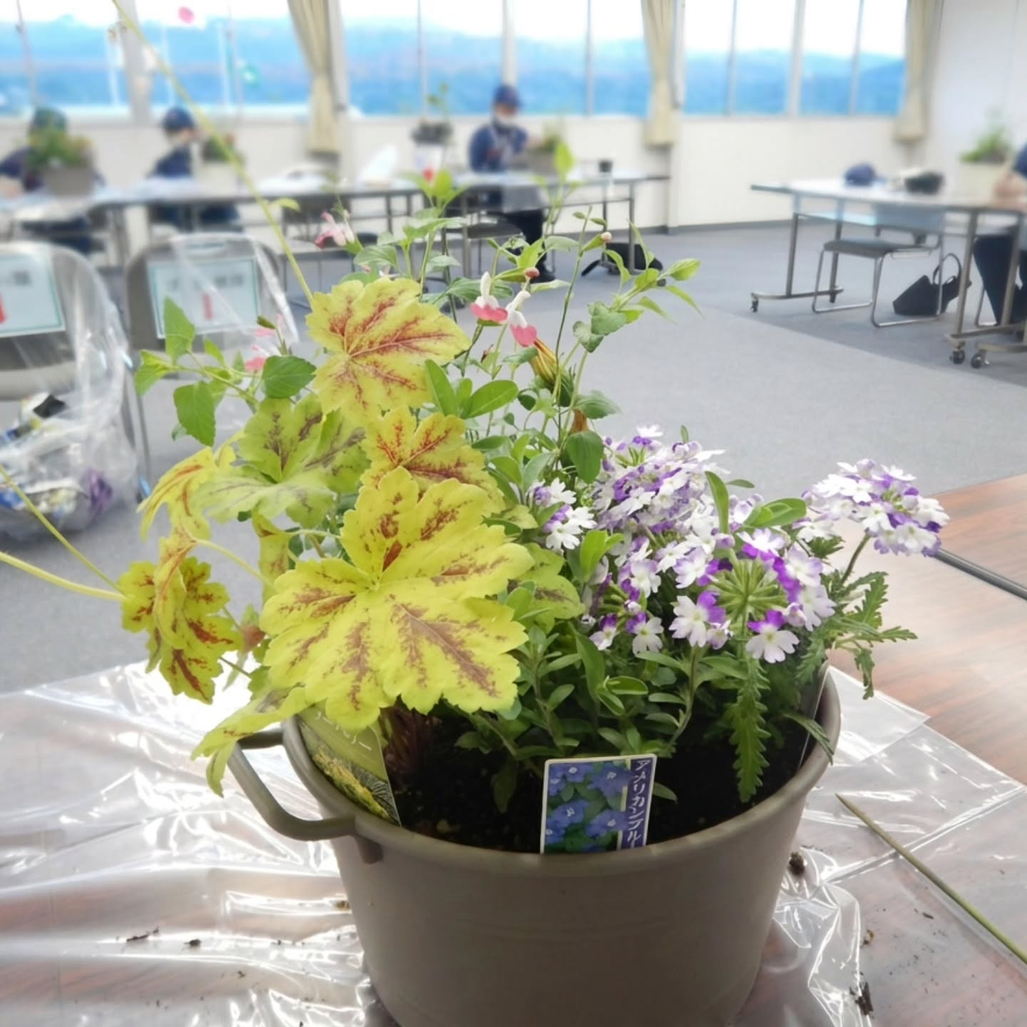 寄せ植え講習会