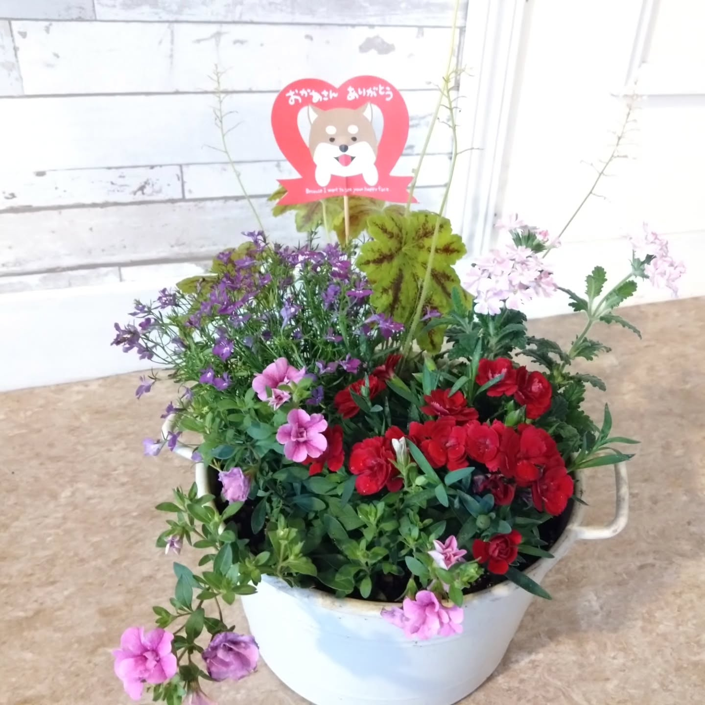 母の日の寄せ植え🌼