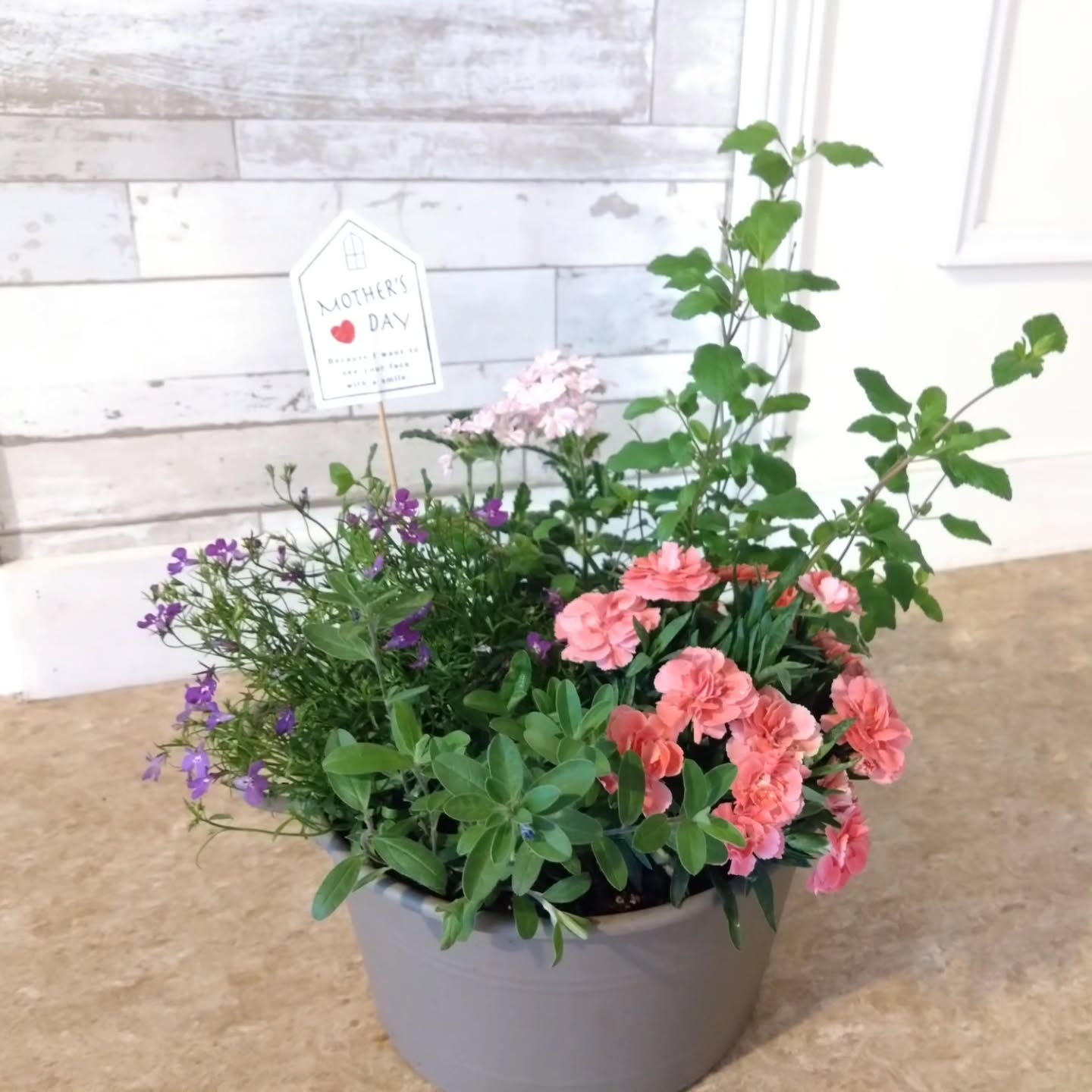 母の日の寄せ植え🌼