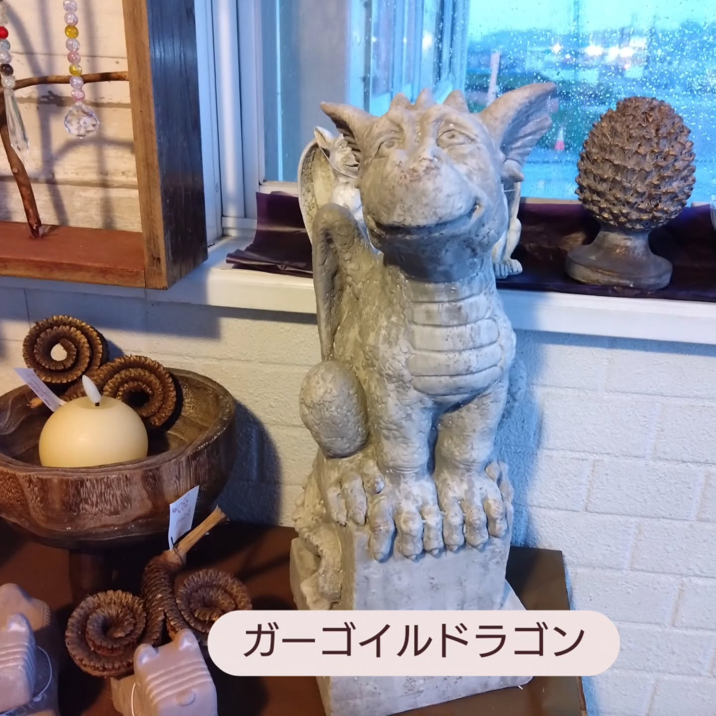 母の日の寄せ植え🌼