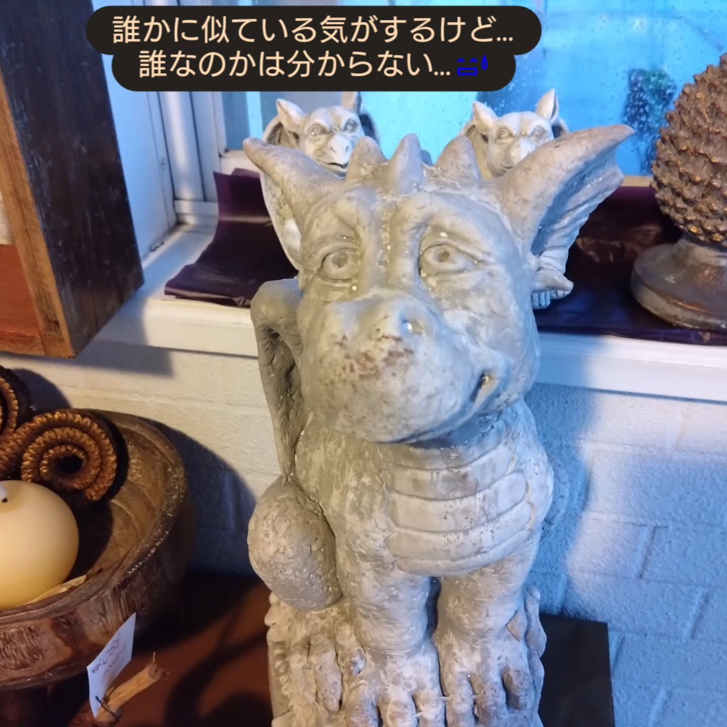 母の日の寄せ植え🌼