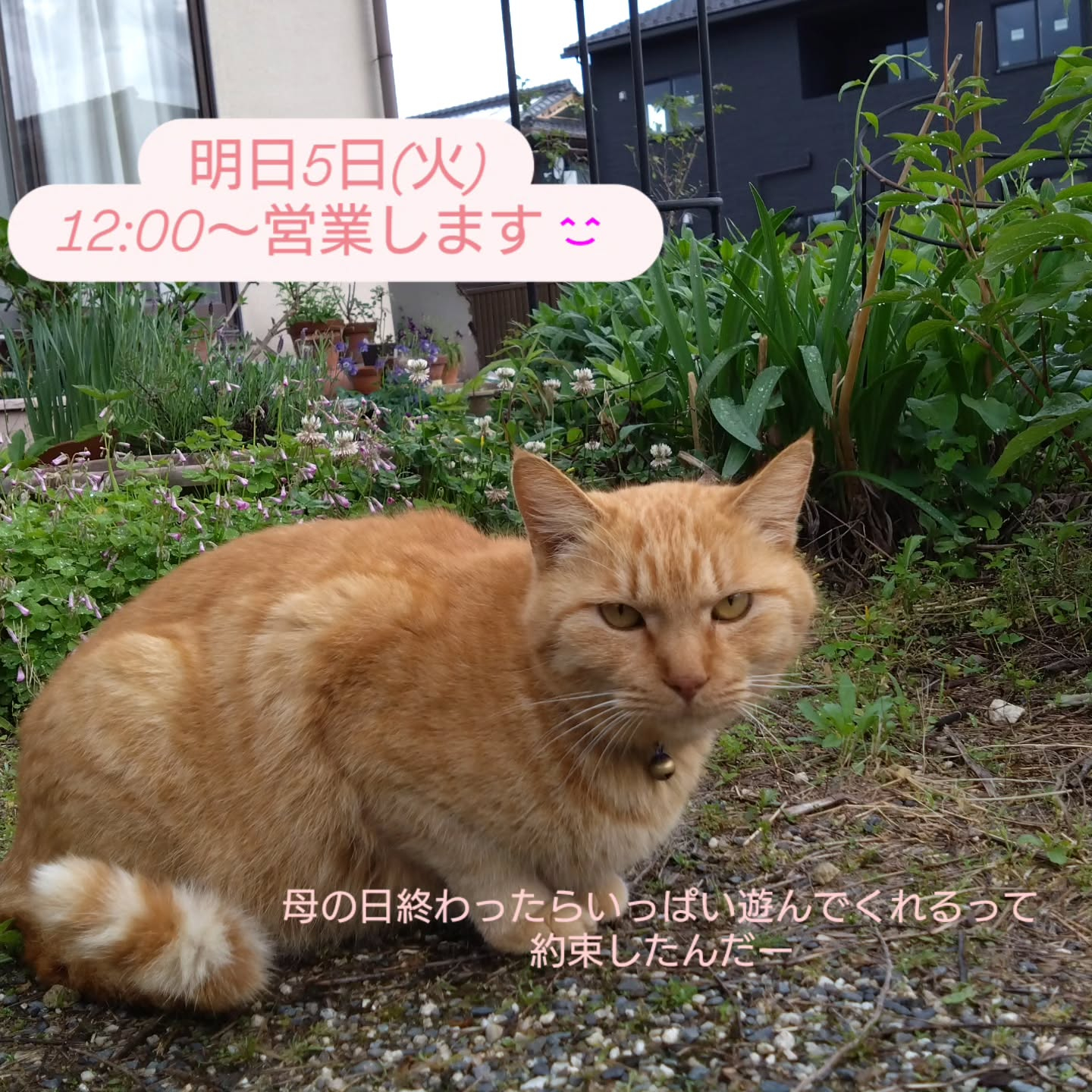 営業のお知らせ🍀