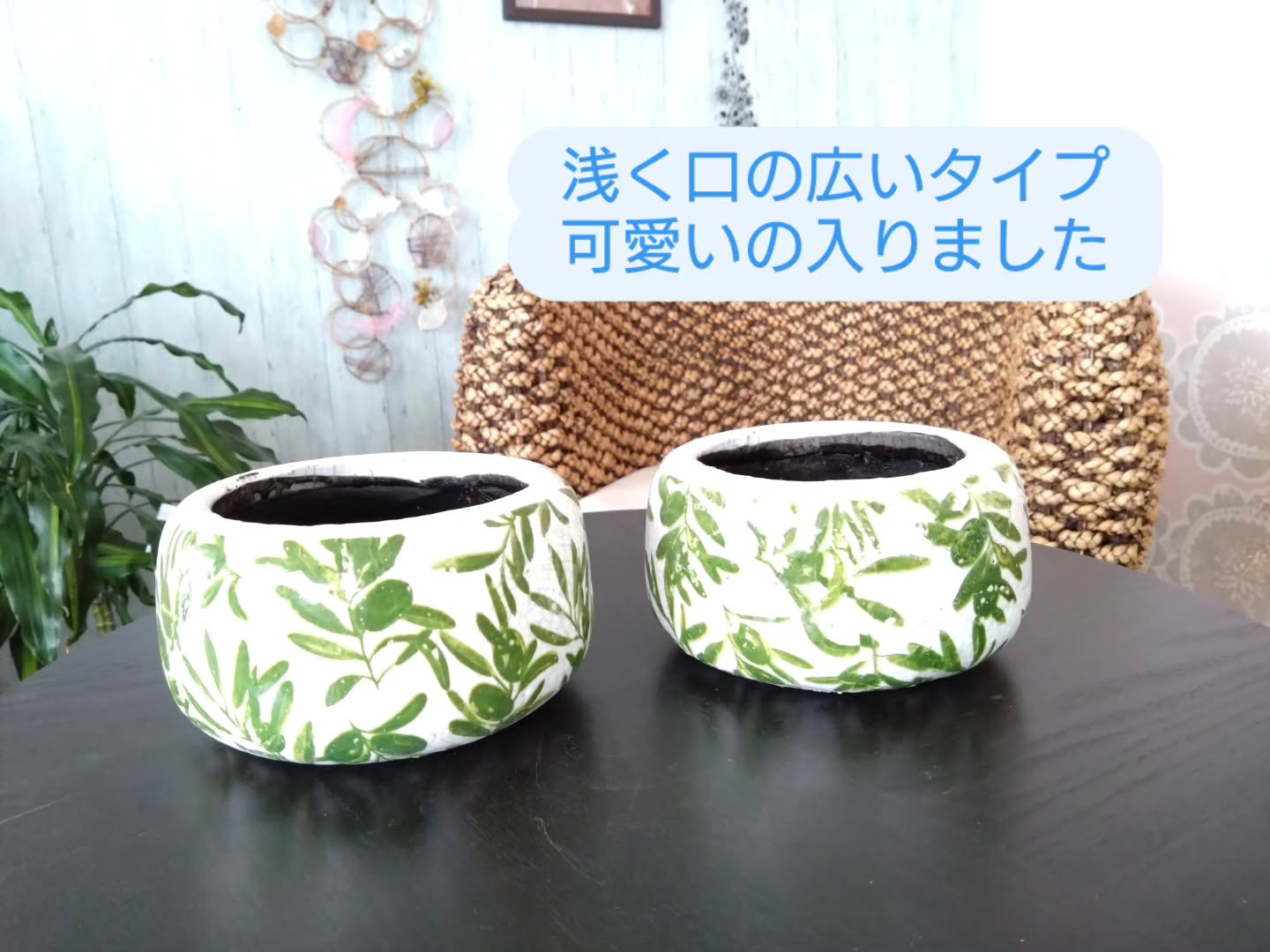 新しい仲間のご紹介です😀