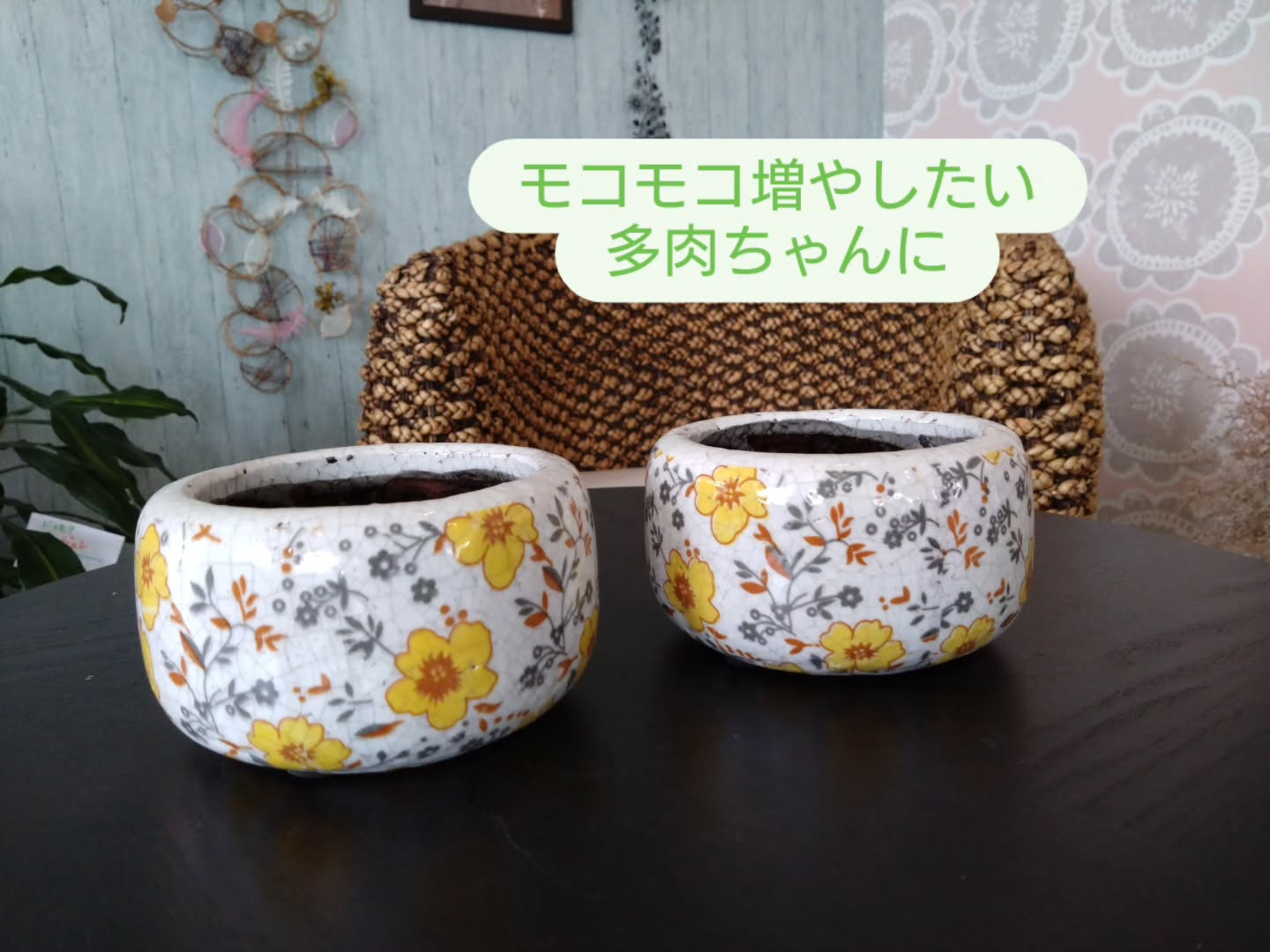 新しい仲間のご紹介です😀