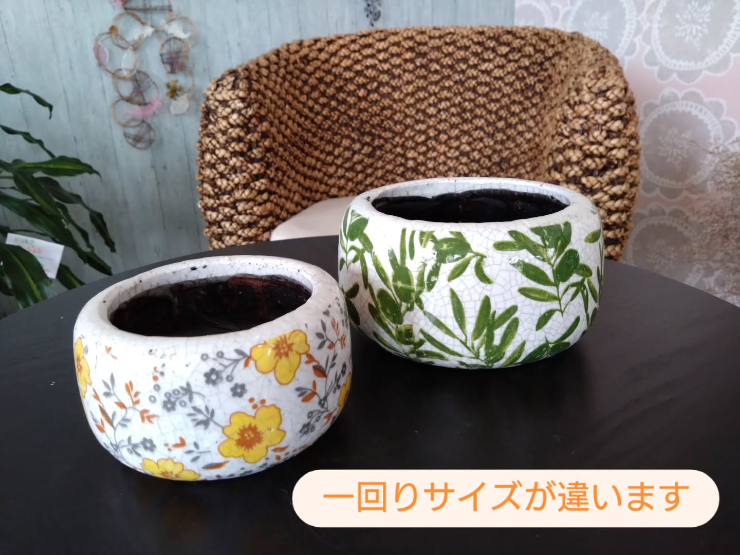 新しい仲間のご紹介です😀