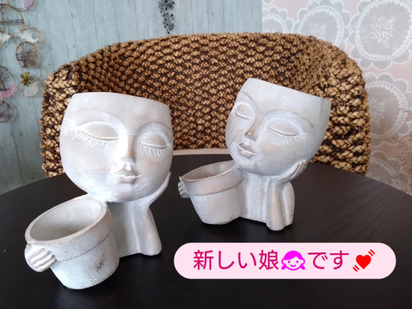 新しい仲間のご紹介です😀