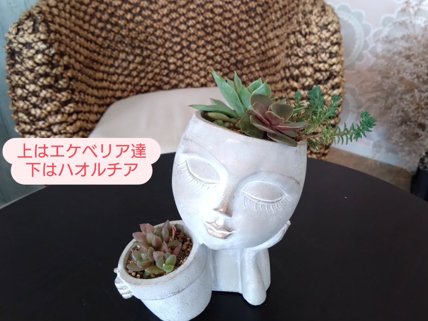 新しい仲間のご紹介です😀