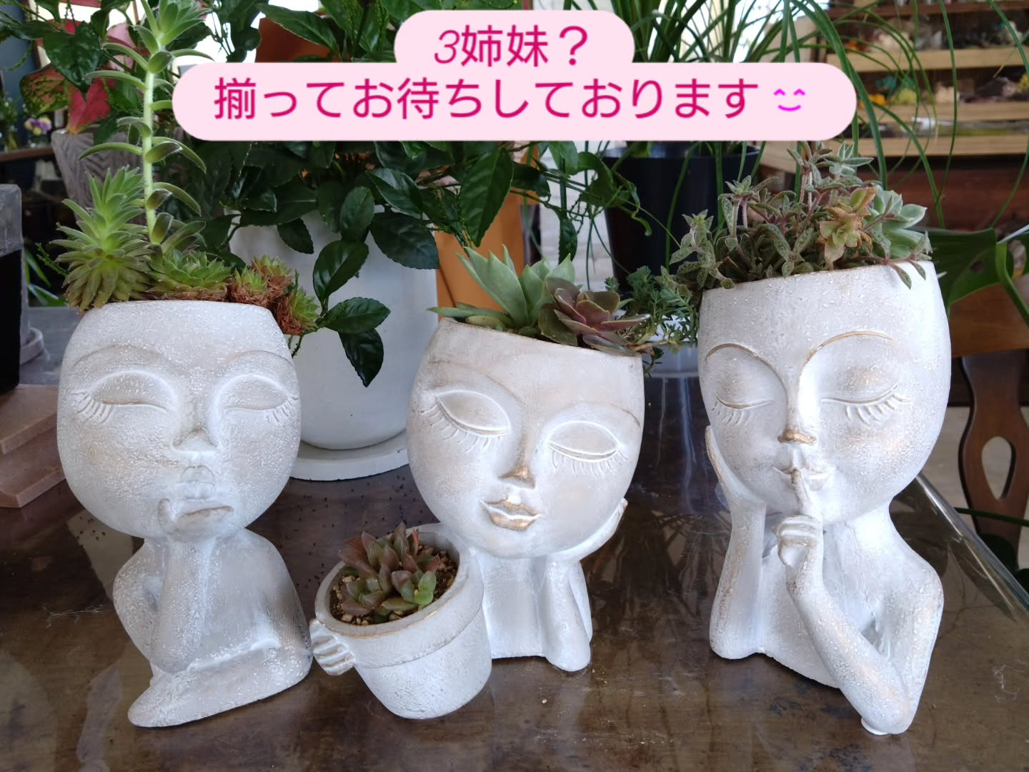 新しい仲間のご紹介です😀