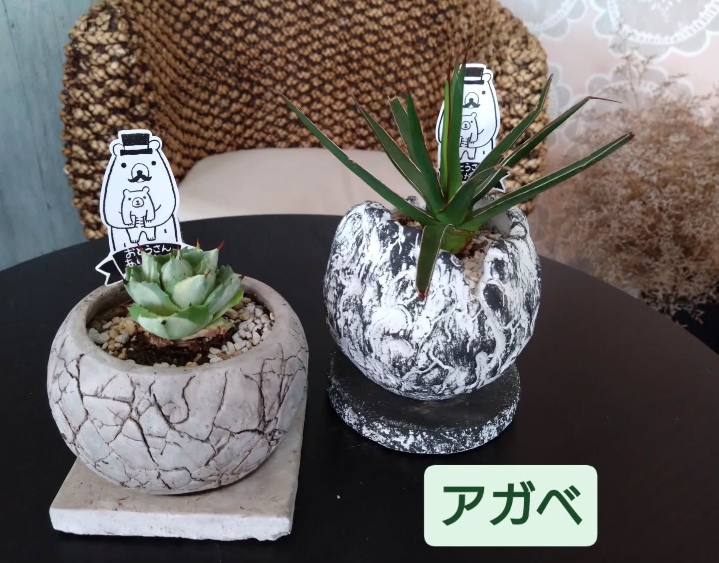 明日は『父の日』🕺