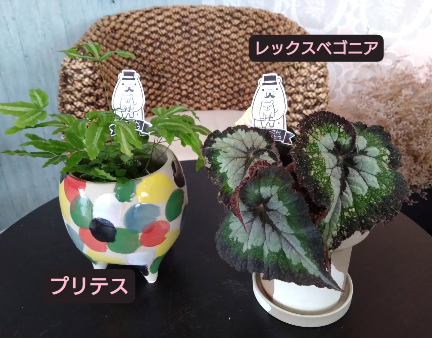 明日は『父の日』🕺