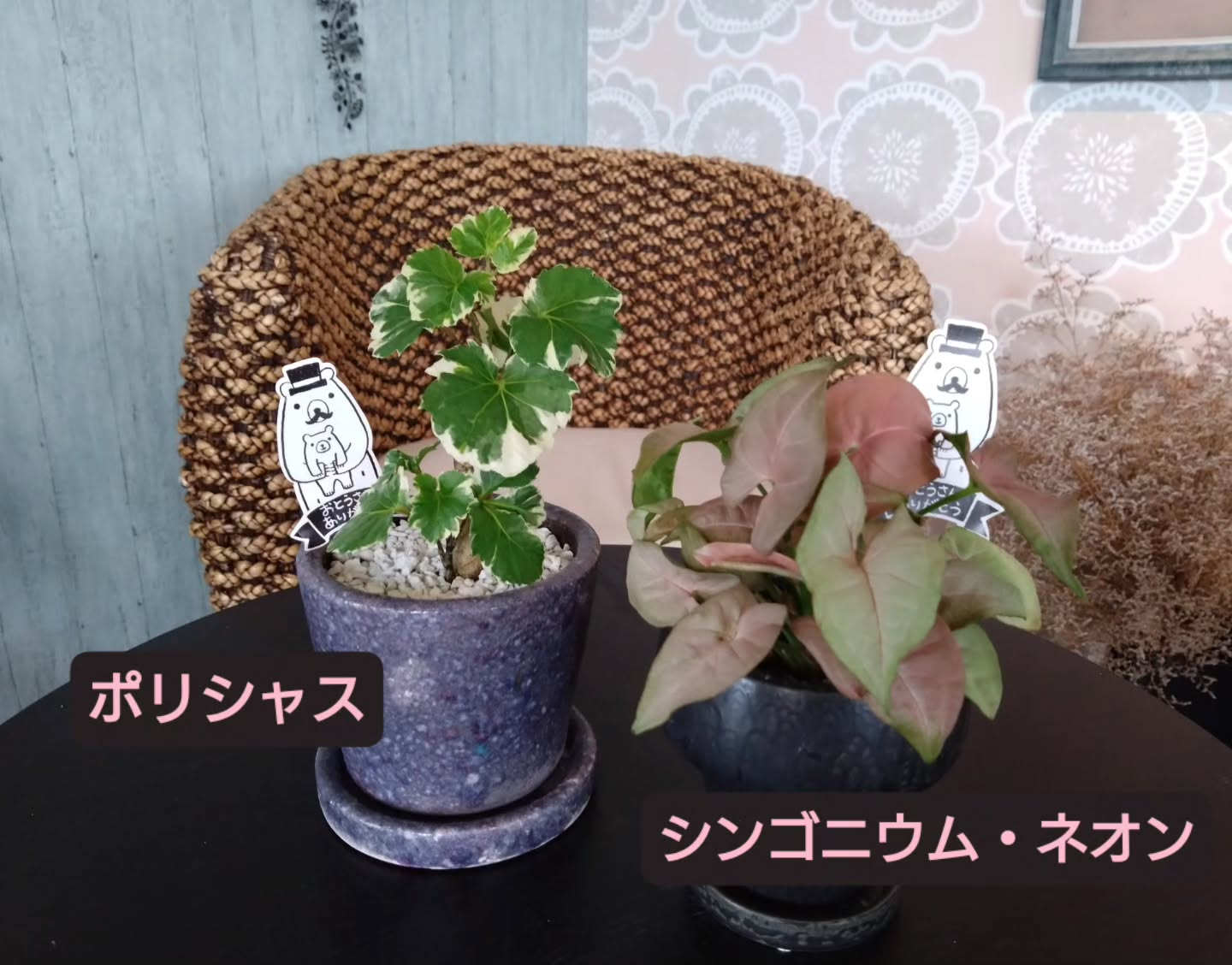明日は『父の日』🕺